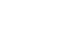 Logo Zakładu Informatyki Stosowanej w kształcie białej myszki, poniżej adres strony internetowej www.zis.com.pl